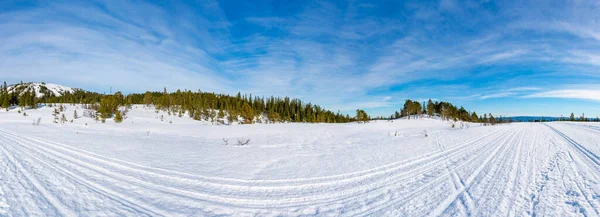 Zimní Krajina Sněhu Pokrytá Přírodní Rezervací Bymarka Trondheimu Norsko — Stock fotografie