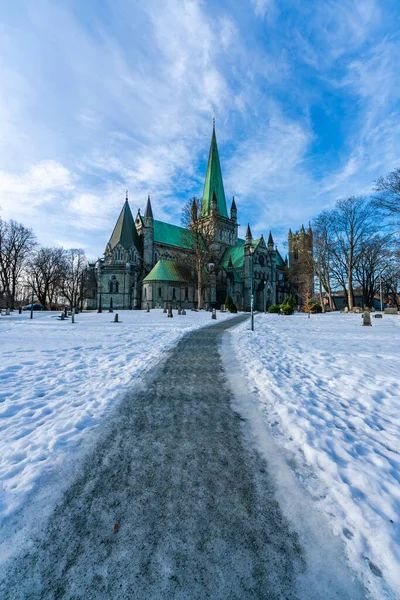 Een Beroemde Kathedraal Nidarosdomen Trondheim Noorwegen — Stockfoto