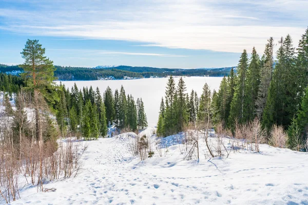 Peisaj Iarnă Acoperit Zăpadă Rezervația Naturală Bymarka Vedere Lacul Înghețat — Fotografie, imagine de stoc