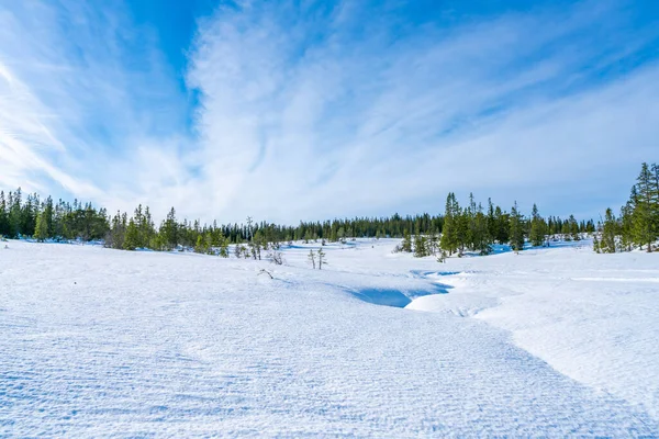 Paisaje Invernal Reserva Natural Bymarka Cubierta Nieve Trondheim Noruega — Foto de Stock