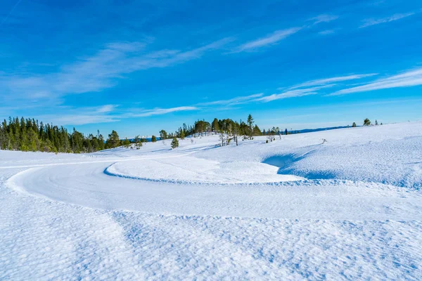 Paesaggio Invernale Coperto Neve Riserva Naturale Bymarka Trondheim Norvegia — Foto Stock