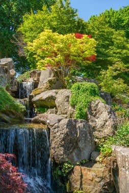 WISLEY, SURREY, UK MAY 22, 2022: RHS Garden in Wisley 'deki beş bahçeden biridir ve Kew Garden' dan sonra İngiltere 'de en çok ziyaret edilen ikinci bahçedir.