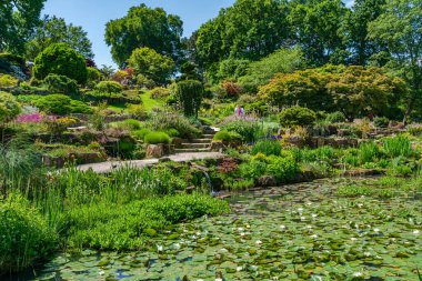 WISLEY, SURREY, UK MAY 22, 2022: RHS Garden in Wisley 'deki beş bahçeden biridir ve Kew Garden' dan sonra İngiltere 'de en çok ziyaret edilen ikinci bahçedir.