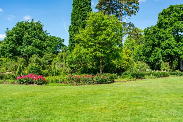 English garden with blooming flowers in early summer. Selective focus