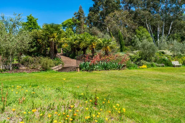 English garden with blooming flowers in early summer. Selective focus