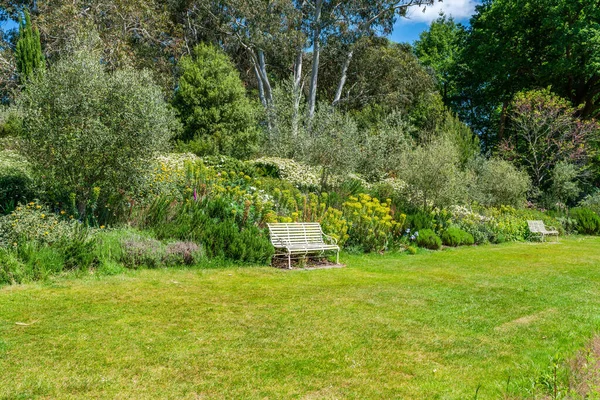 English garden with blooming flowers in early summer. Selective focus