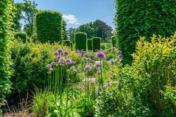 English garden with blooming flowers in early summer