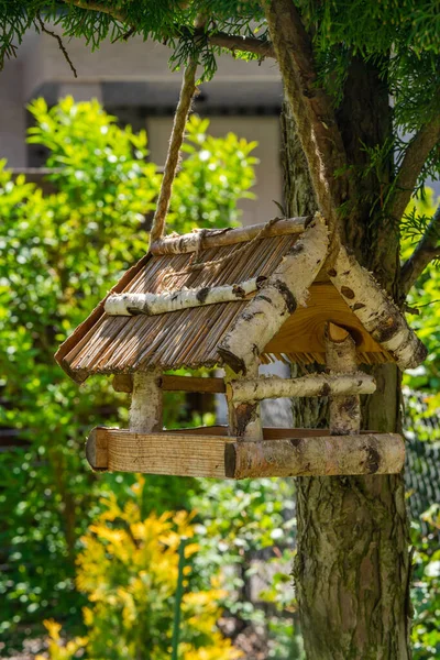 Bird feeding station on a tree - selective focus