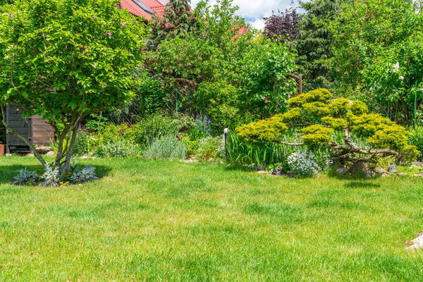 Сад в начале лета. Жилая площадь на открытом воздухе
