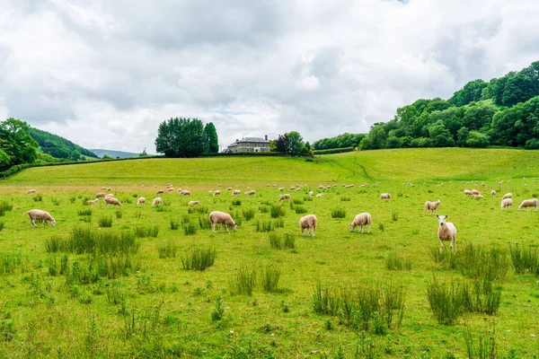 Rural Landscape Sennybridge Village Powys Wales — Stockfoto