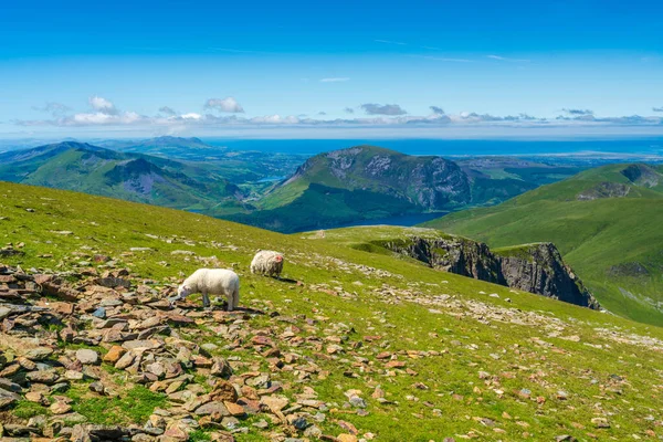 Scenic View Mount Snowdon Bright Sunny Day Wales — Stockfoto