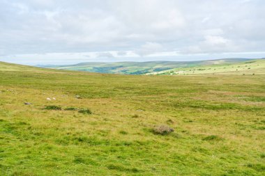 Marloes, Galler yakınlarındaki kırsal Pembrokshire manzarası