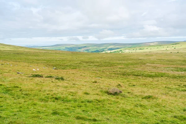Vista Campo Pembrokshire Rural Perto Marloes País Gales — Fotografia de Stock