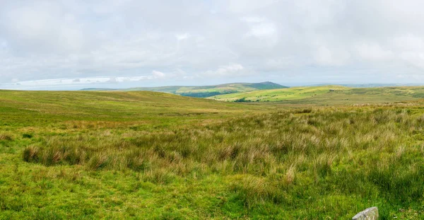 Pohled Krajinu Venkovském Pembrokshire Marloes Wales — Stock fotografie