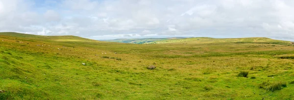 Uitzicht Het Platteland Het Landelijke Pembrokshire Bij Marloes Wales — Stockfoto