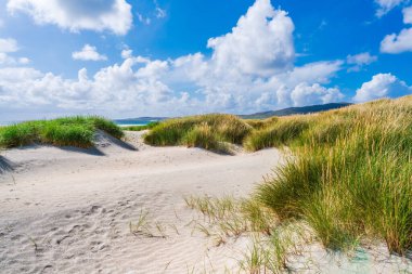 Luskentyre Sands sahilindeki kum tepeleri Harris Adası, İskoçya, İngiltere