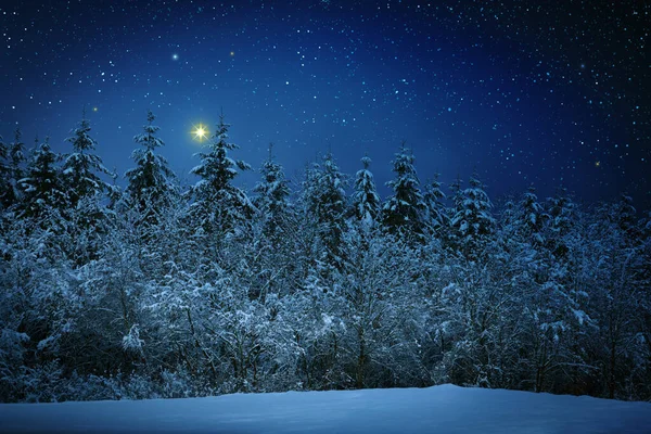 Stella di Natale su cielo astratto di notte. Sfondo astratto. — Foto Stock