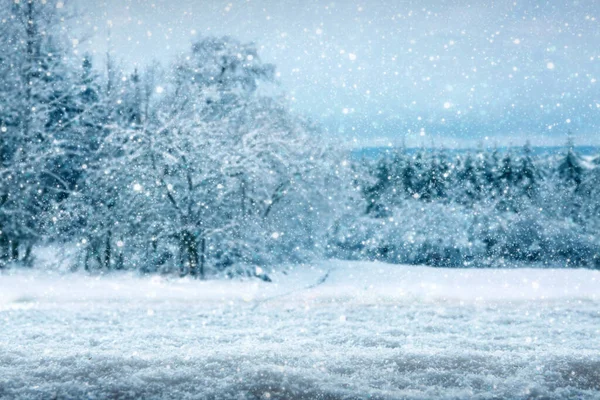 有白雪覆盖冷杉树的冬季景观 . — 图库照片