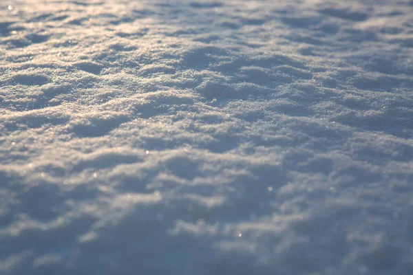 Čerstvé sněhové textury pozadí v modrém tónu a slunečním svitu. — Stock fotografie