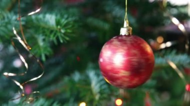 Bir firavun ağacının dalında asılı duran kırmızı Noel Balosu. Noel Arkaplanı.