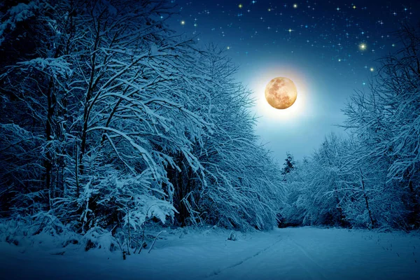 Cielo di Natale sfondo con luna piena e alberi invernali. — Foto Stock