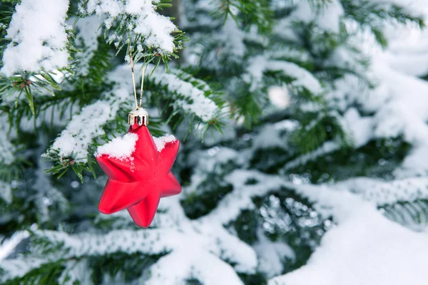 Estrella roja en rama de pino cubierto de nieve. Fondo de Navidad. — Foto de Stock