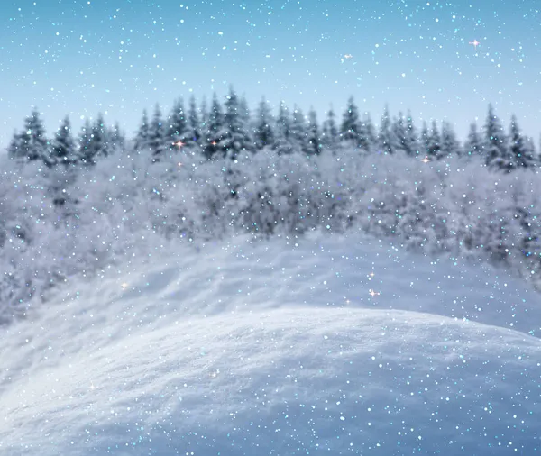 冬の森に隔離された青のトーンでクリスマスの雪の背景 . — ストック写真