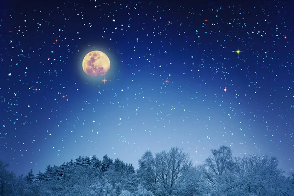 Sfondo natalizio con stelle e luna grande nella foresta invernale . — Foto Stock