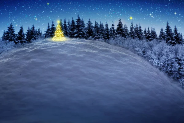 白い雪と冬の木とクリスマスの背景. — ストック写真