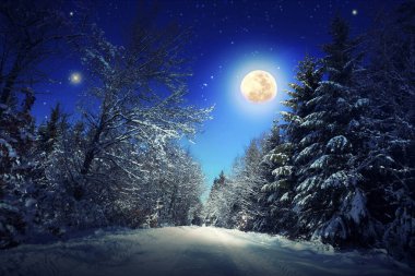 Yıldız ve büyük ay kış ormandaki Noel arka plan.