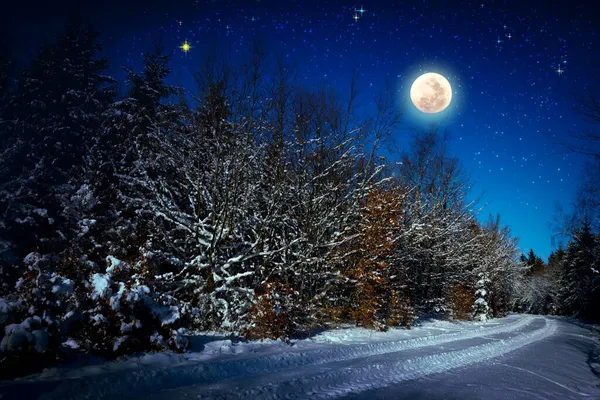 Sfondo natalizio con stelle e luna grande nella foresta invernale . — Foto Stock