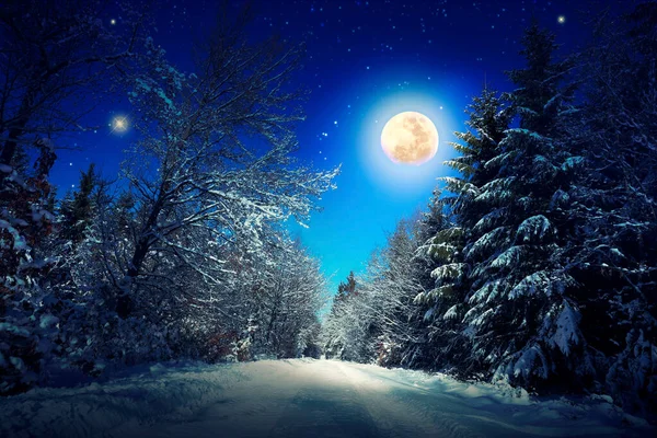 Weihnachten Hintergrund mit Sternen und großen Mond im Winterwald. — Stockfoto