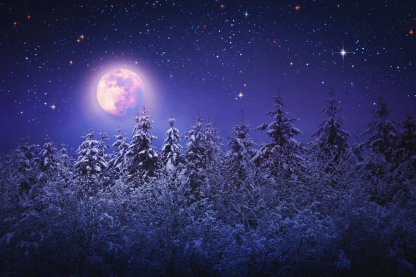 Kerst hemel achtergrond met volle maan en winter bomen. — Stockfoto