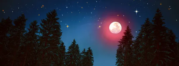 Cielo di Natale sfondo con luna piena e alberi invernali. — Foto Stock