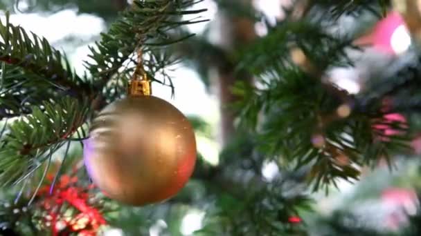 Boule de Noël accrochée à une branche de sapin. Contexte de Noël. — Video