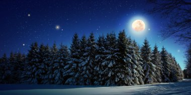 Yıldız ve büyük ay kış ormandaki Noel arka plan.