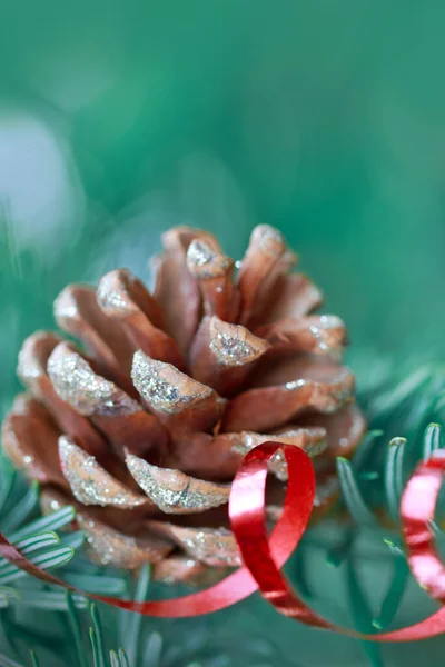 푸른 크리스마스 배경에 소나무로 만든 원추형의 가지들 — 스톡 사진