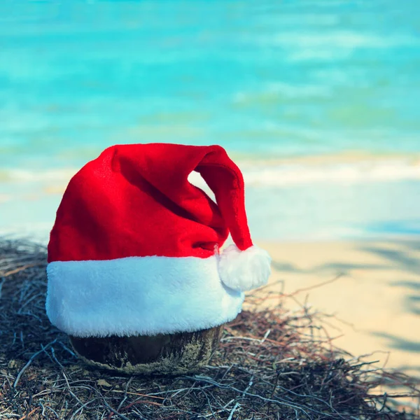 Karayip sahilinde kırmızı Noel Baba şapkalı bir Noel arkaplanı. — Stok fotoğraf