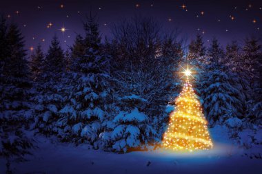 Kış ormanlarında Noel ağacı ve yıldızlar gökyüzünde. Noel Kartı.