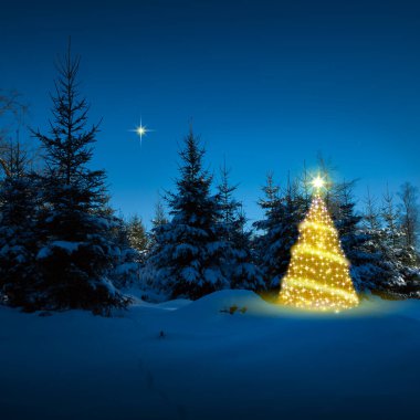 Kış ormanlarında Noel ağacı ve yıldızlar gökyüzünde. Noel Kartı.