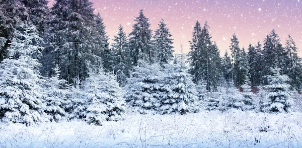Χιονίζει στο χειμερινό δάσος. Φόντο φύσης με χιόνι. — Φωτογραφία Αρχείου