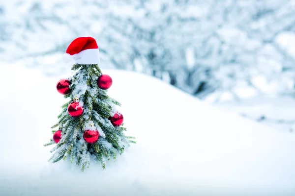 Fundo de Natal com chapéu de Papai Noel vermelho e abeto na neve branca. — Fotografia de Stock