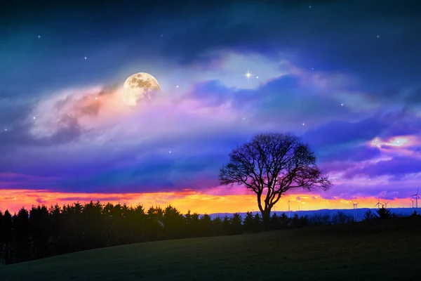 Paesaggio Con Albero Nero Luna Piena Cielo Notturno Scuro — Foto Stock