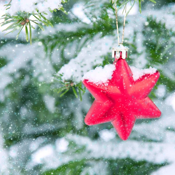 Estrela Vermelha Ramo Pinheiro Coberto Neve Floresta Inverno — Fotografia de Stock