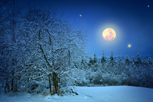 Winter forest and full moon on night abstract sky.
