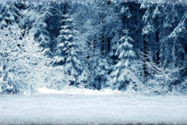 Різдвяний фон з ялинками та білим снігом  . — стокове фото