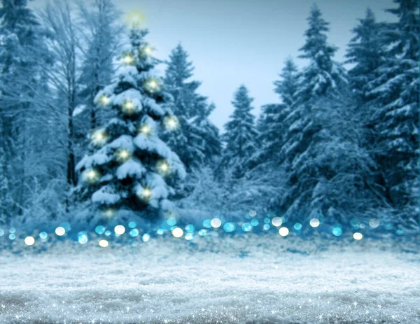 モミの木と白い雪とクリスマスの背景 . — ストック写真
