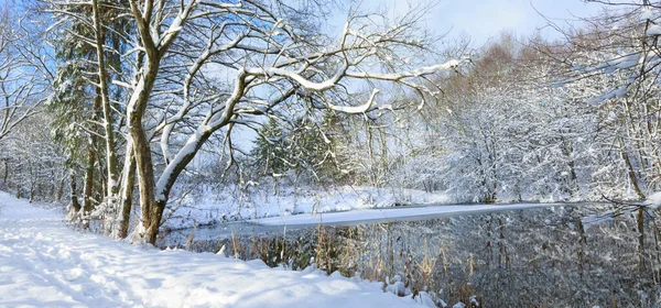 겨울에는 꽁꽁 얼어붙은 나무가물에 반사되어. — 스톡 사진