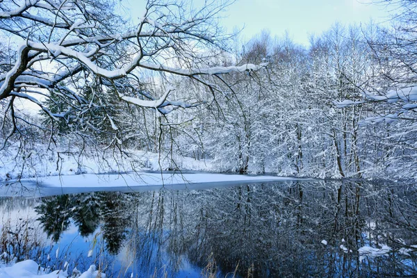 겨울에는 꽁꽁 얼어붙은 나무가물에 반사되어. — 스톡 사진