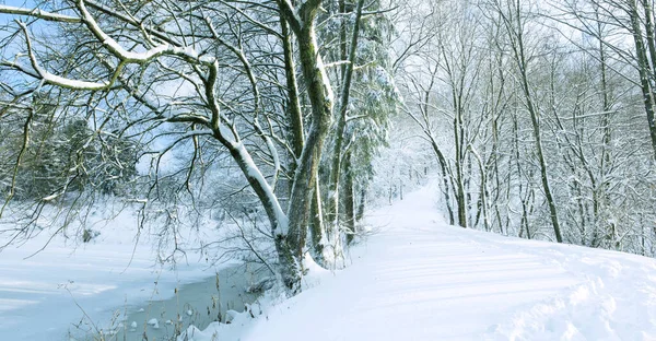 Χειμερινό τοπίο με χιονισμένα δέντρα. Χριστουγεννιάτικο φόντο. — Φωτογραφία Αρχείου